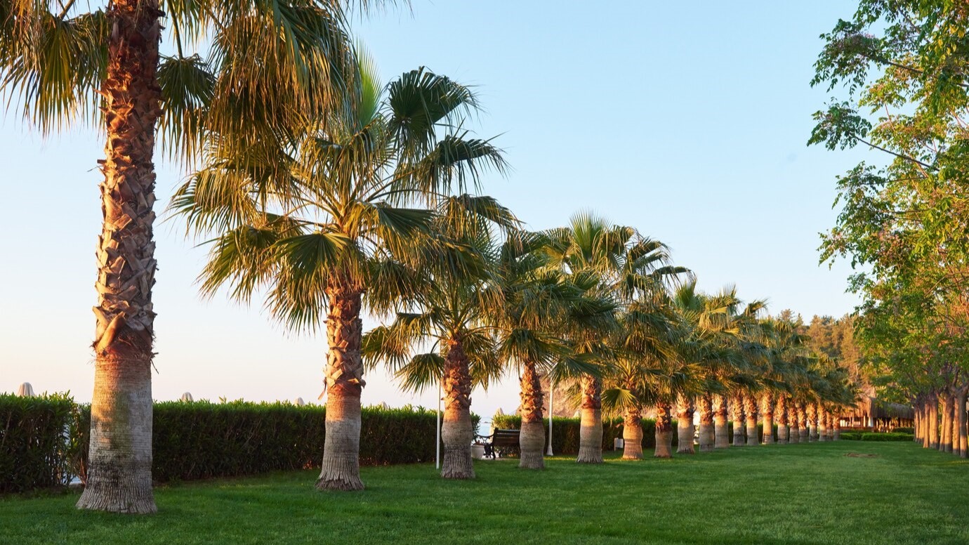 green palm park rabat morocco