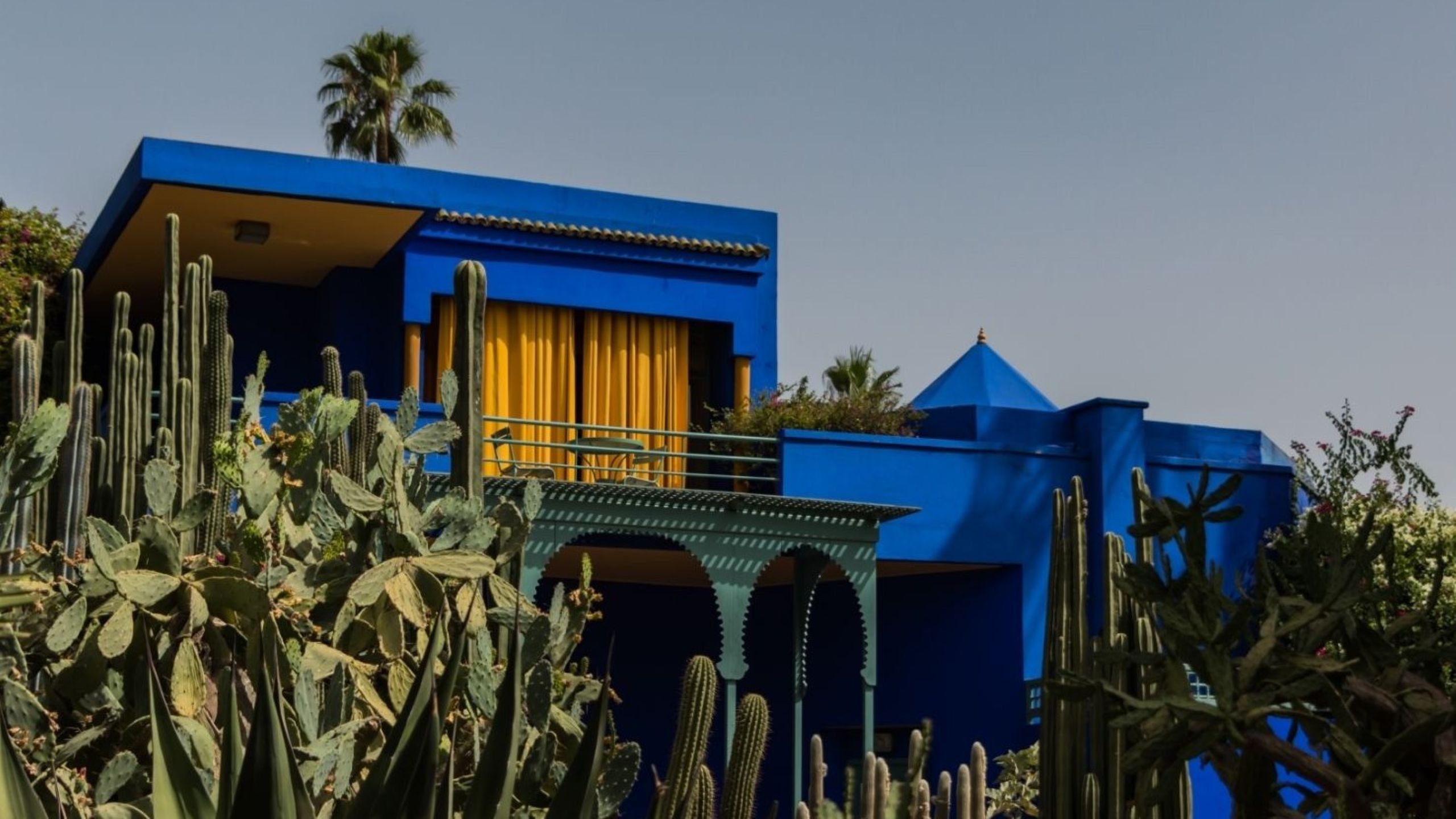 Bright blue modern house with yellow window curtains, set among tall cacti and palm trees against a clear sky.