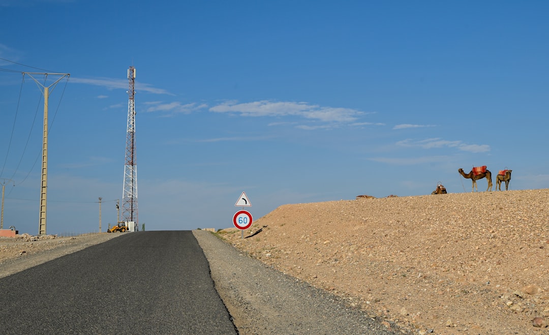 A technician conducts maintenance on a wind turbine as part of Morocco's renewable energy expansion