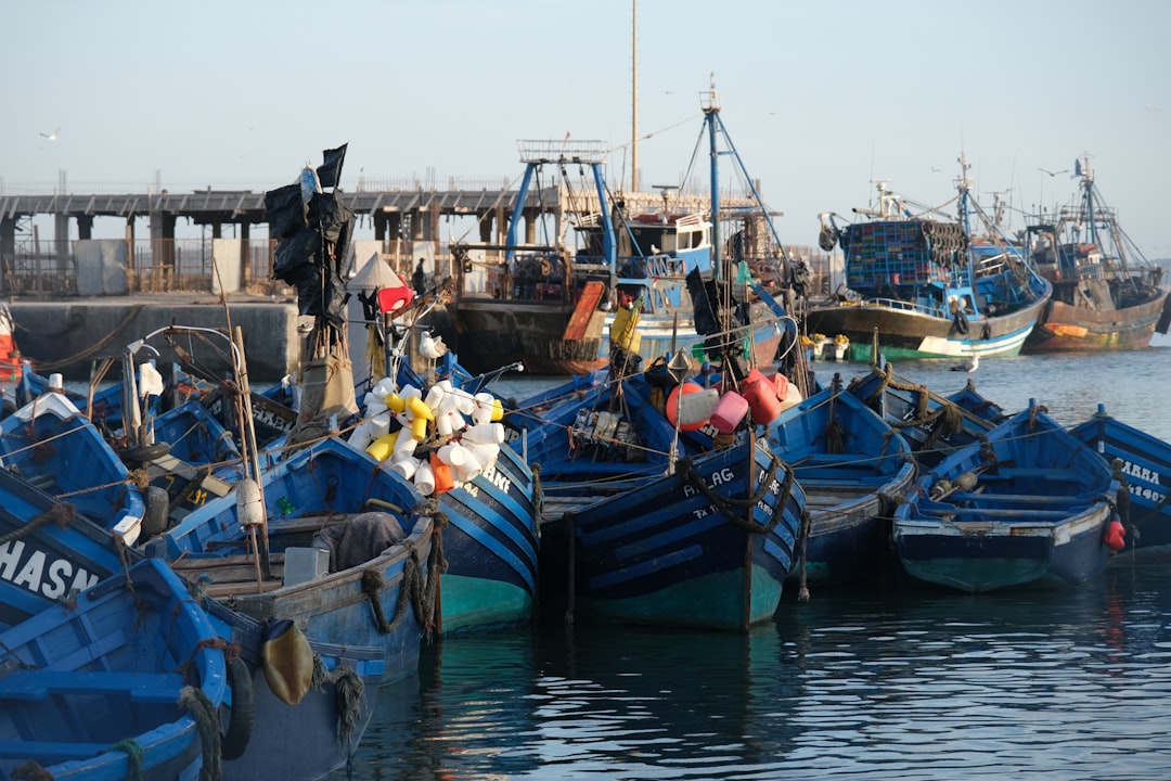 A young Moroccan entrepreneur inspects an aquaculture operation in the southern provinces