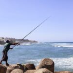 A fisherman unloads the morning fresh catch at a Moroccan coastal port, the foundation of all coastal menus in August.