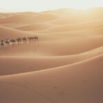 Traveller on a camel during a Sahara trip across Erg Chebbi dunes