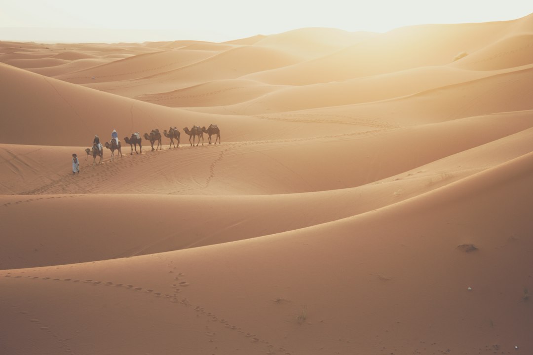 Traveller on a camel during a Sahara trip across Erg Chebbi dunes